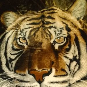 Meet your Posher, Tonya